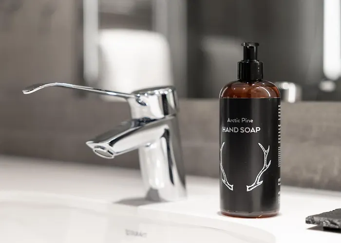 Lapland Arena Hotel Tampere